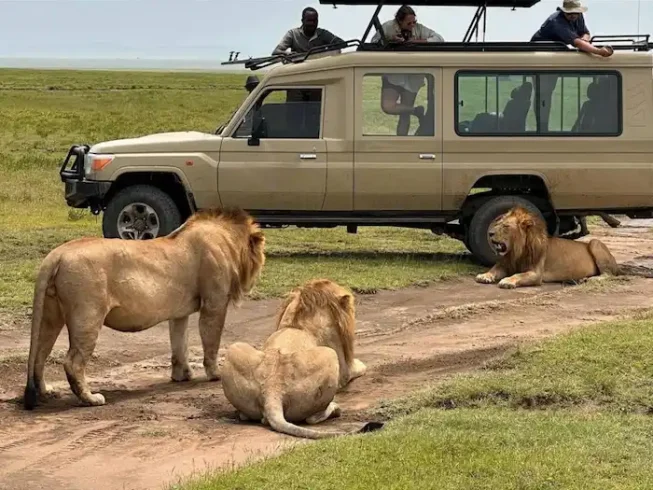 Game drive in Serengeti during Tanzania Safari - 10 Days