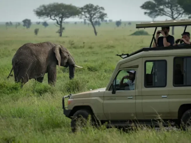 Game drive during Tanzania Wildlife Luxury Safari - 6 Days