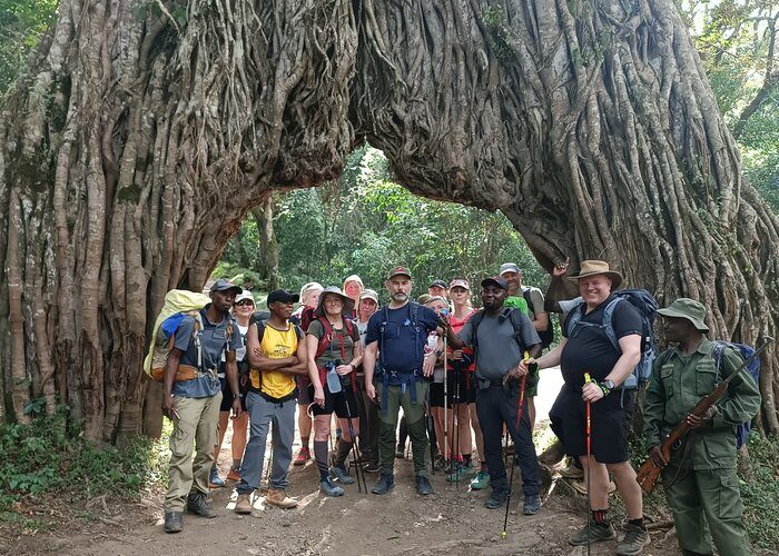 big tree during Mount Meru Climb – 4-Day Trekking Tour