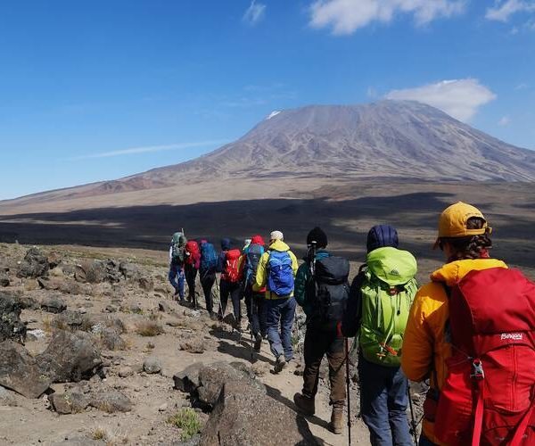 during Kilimanjaro Marangu Route Trek - 6 Days