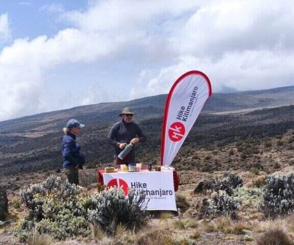 during shira route kilimanjaro