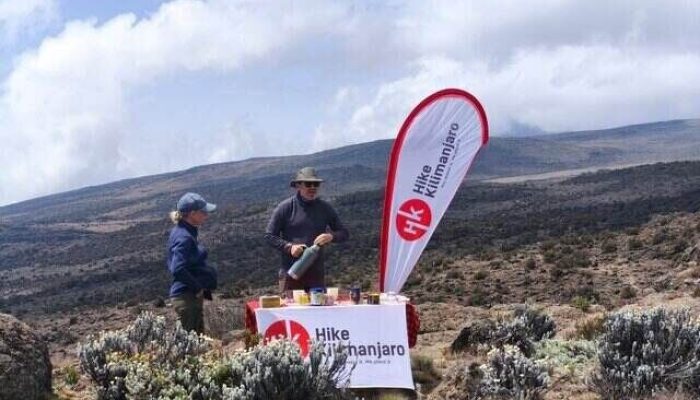 How to Find the Best Value Kilimanjaro Tour Company