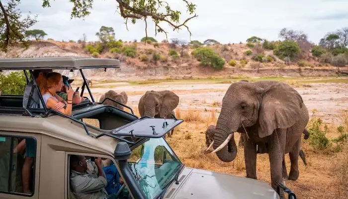 Tarangire Safari from Arusha