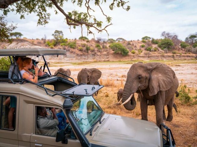 elephants in tarangire during family safari holiday in tanzania - 7 days