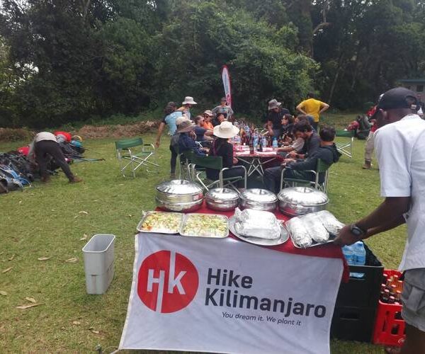 hike kilimanjaro during climb kilimanjaro marangu route 1