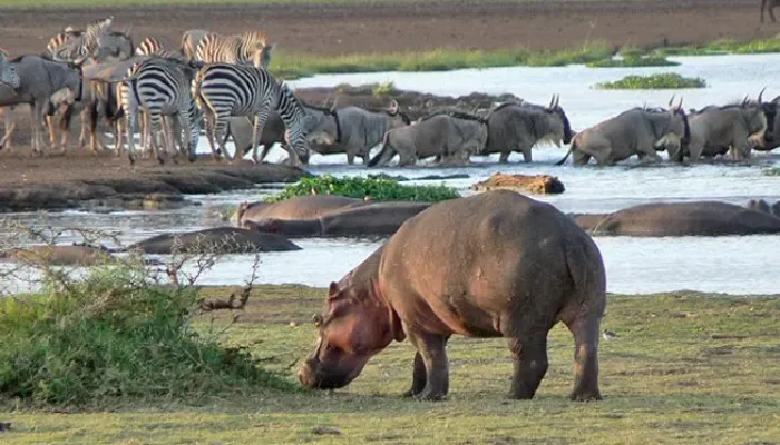 lake manyara day trip