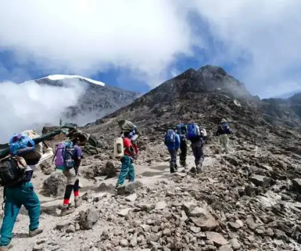 kilimanjaro hk