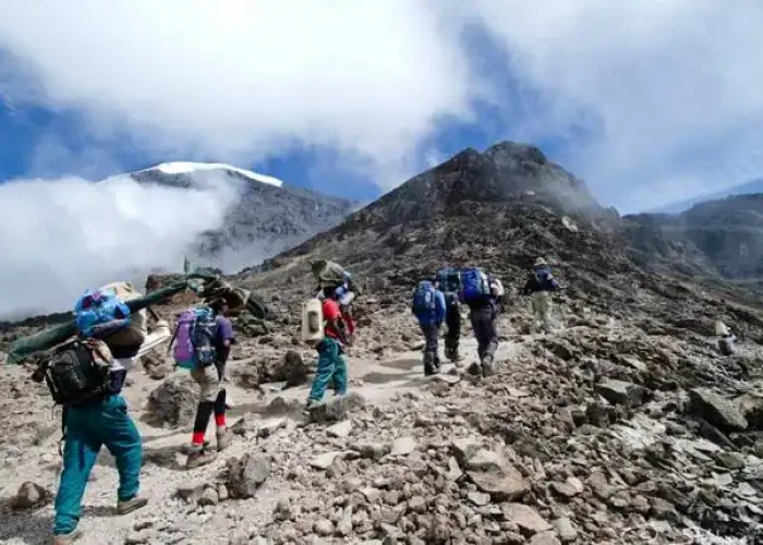 kilimanjaro hk
