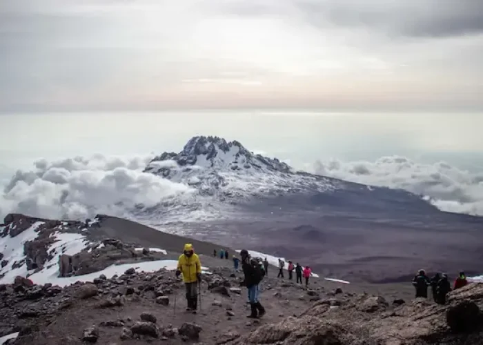 kilimanjaro summit overview hk