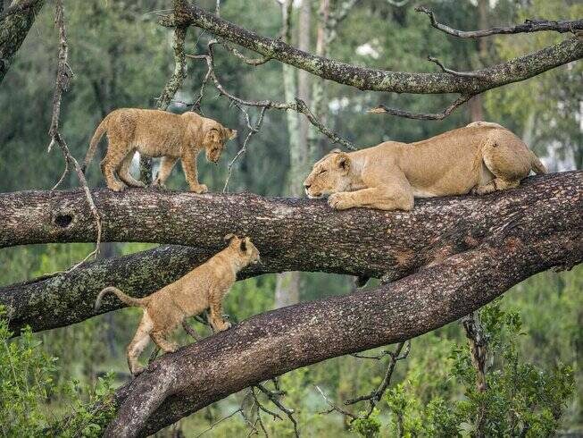 lake manyara day trip from arusha