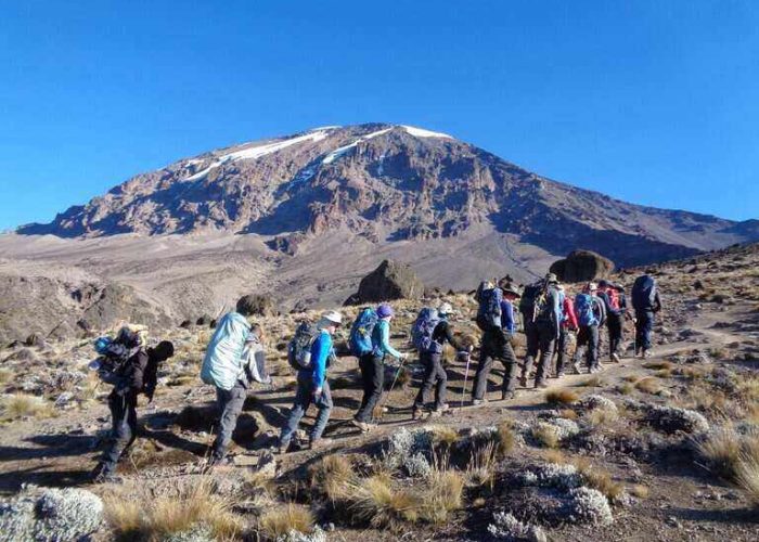 The Lemosho Route on Kilimanjaro