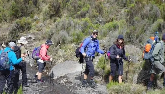machame route kilimanjaro hk2