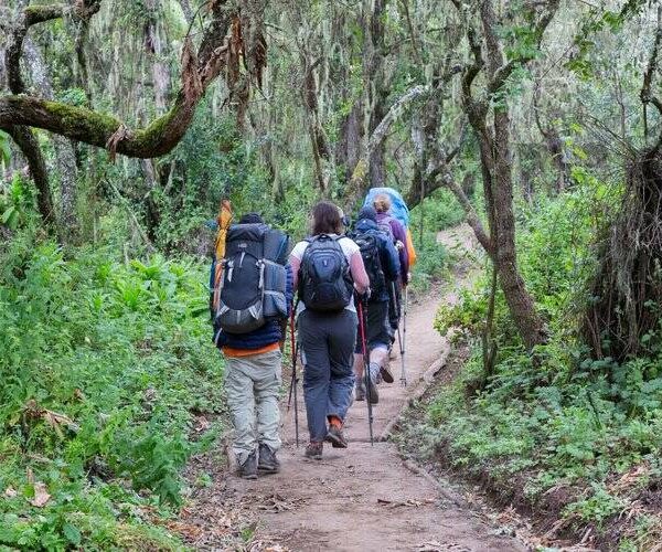 machame route starting point during Kilimanjaro Machame Route hike – 6 Days
