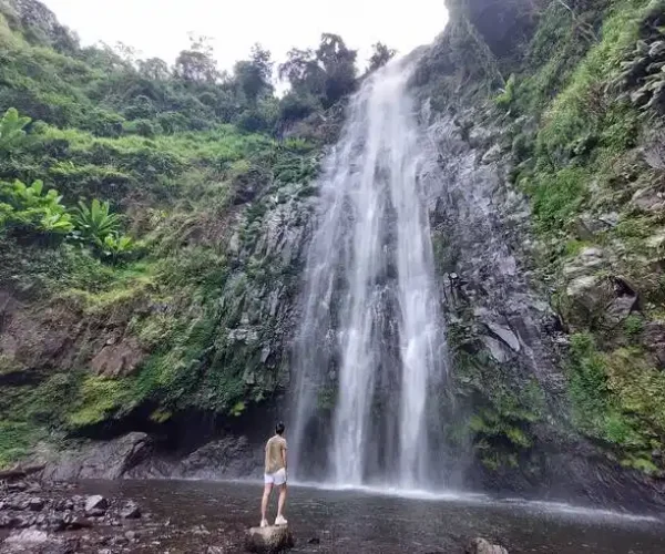 Majestic Materuni Waterfalls surrounded by lush greenery on the Materuni Waterfalls & Coffee Tour cultural day trip from Arusha