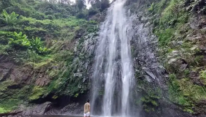 Materuni Waterfalls Coffee Tour
