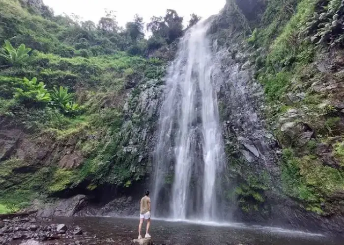 Majestic Materuni Waterfalls surrounded by lush greenery on the Materuni Waterfalls & Coffee Tour cultural day trip from Arusha