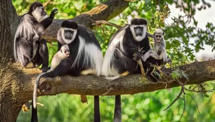 Arusha National Park