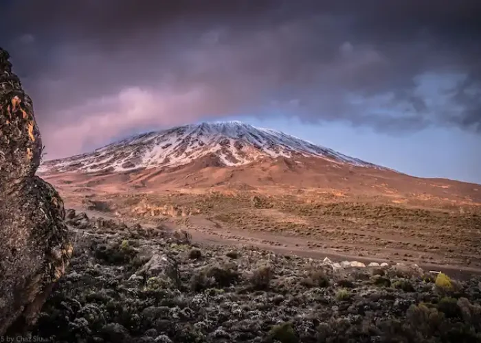 mount kilimanjaro hk 15