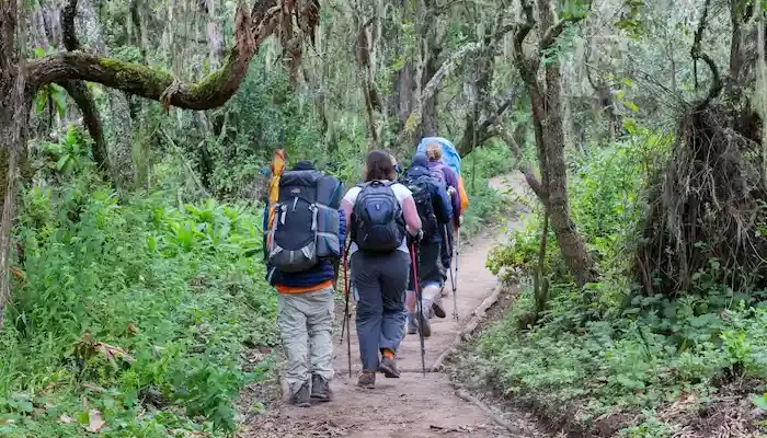 mount kilimanjaro hk3
