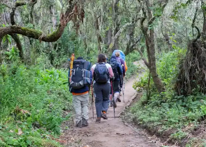mount kilimanjaro hk3