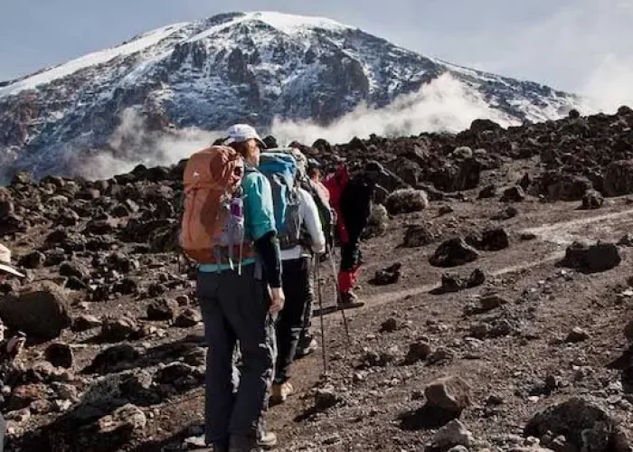 mount kilimanjaro machame route hk7