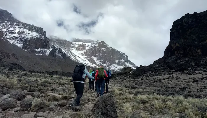 Kilimanjaro Base Camp