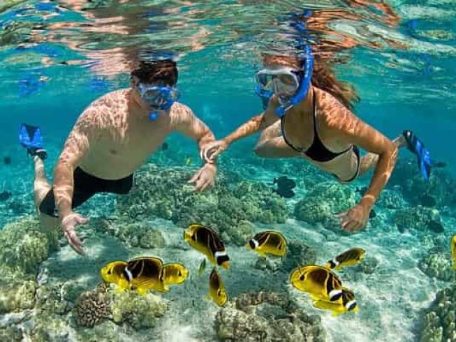 ocean-safari-zanzibar-min