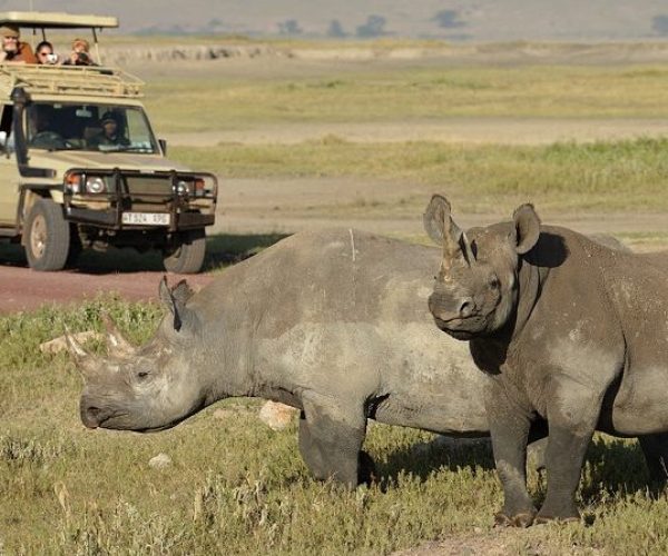 rhino_during_ngorongoro_crater_safari tz