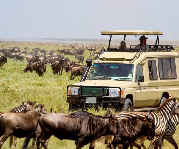 serengeti calving season migration safari 5 days