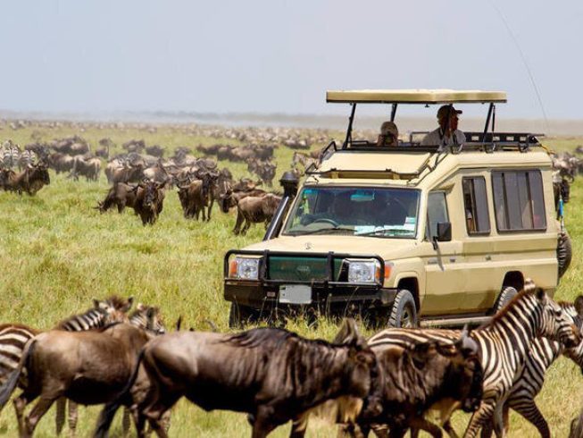 serengeti calving season migration safari 5 days