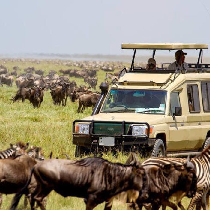 serengeti calving season migration safari 5 days