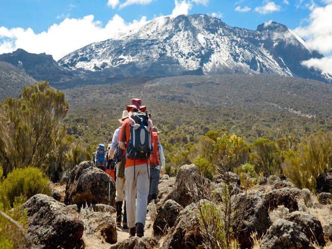 shira plateau day hike via lemosho route