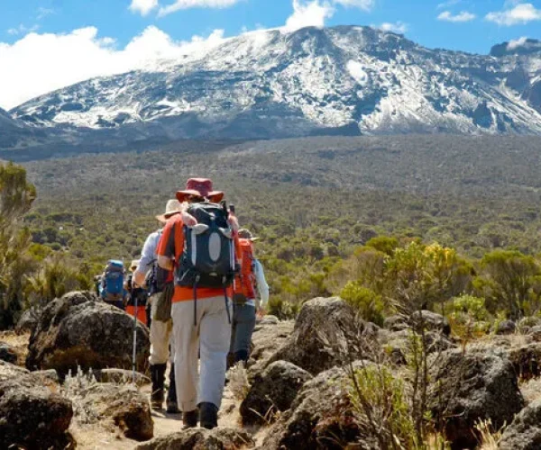 shira plateau kilimanjaro hk
