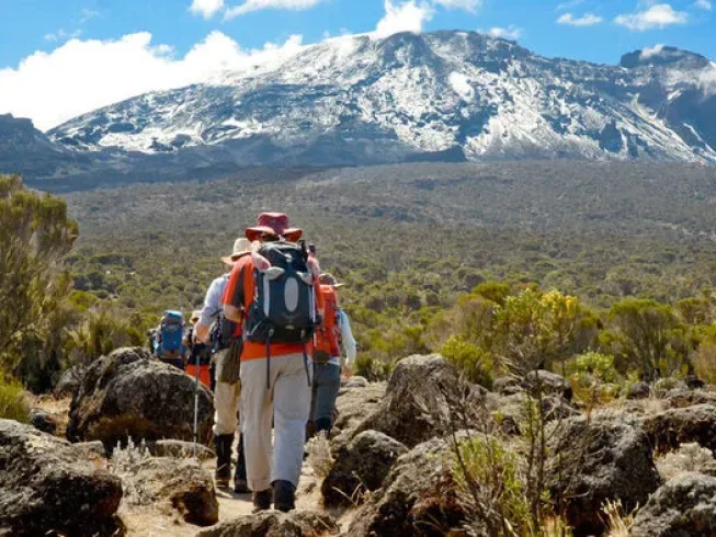 shira plateau kilimanjaro hk