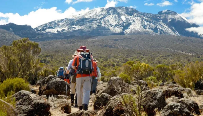 Kilimanjaro Full Moon Group Treks