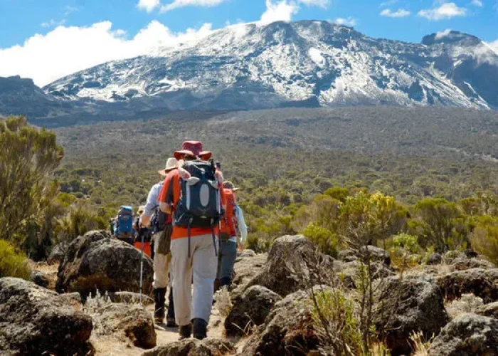shira plateau kilimanjaro hk