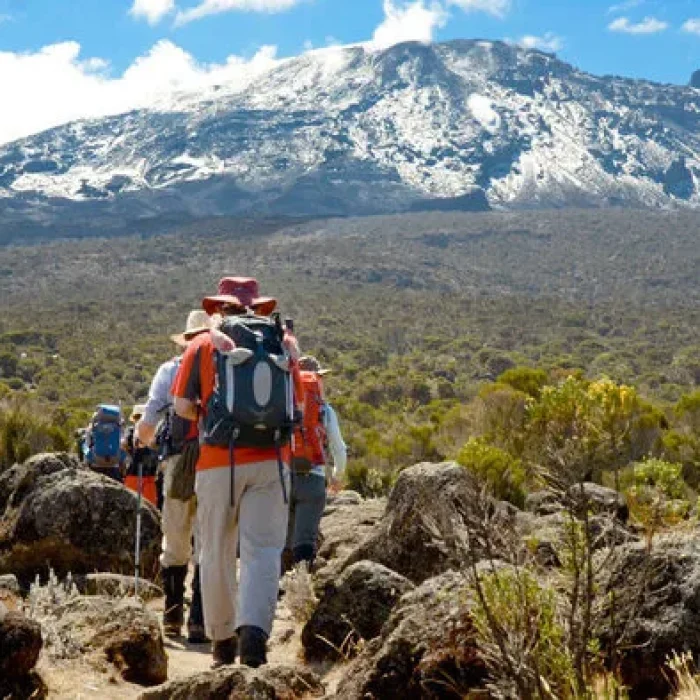 shira plateau kilimanjaro hk
