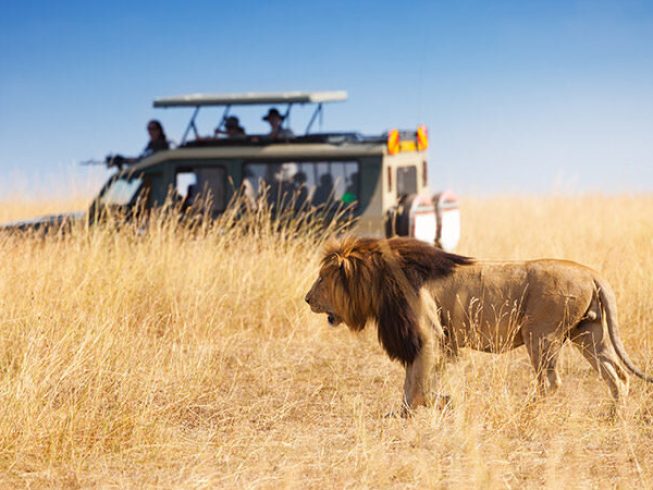 tanzania big five safari - 6 days