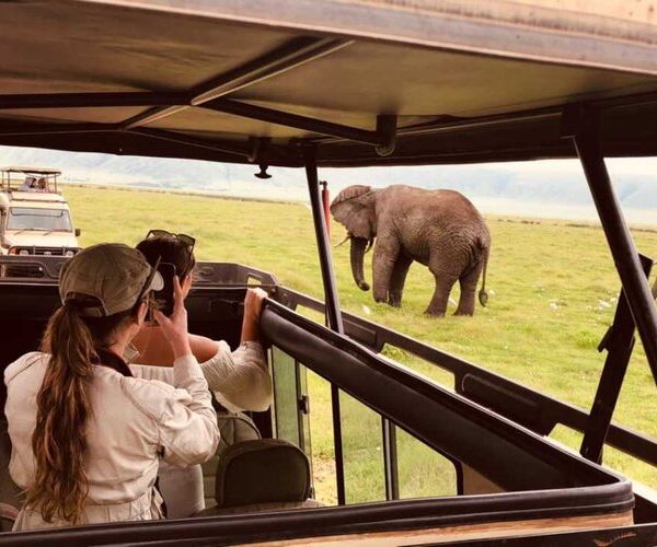 tanzania luxury safari - 7 days