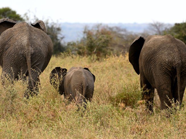 tarangire day trip from arusha