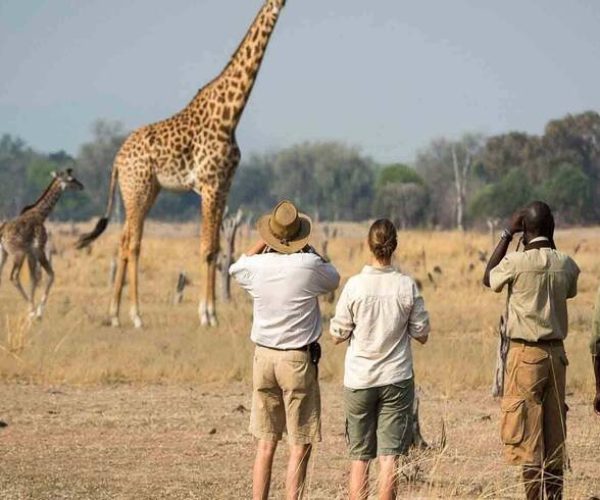 walking-safari-arusha
