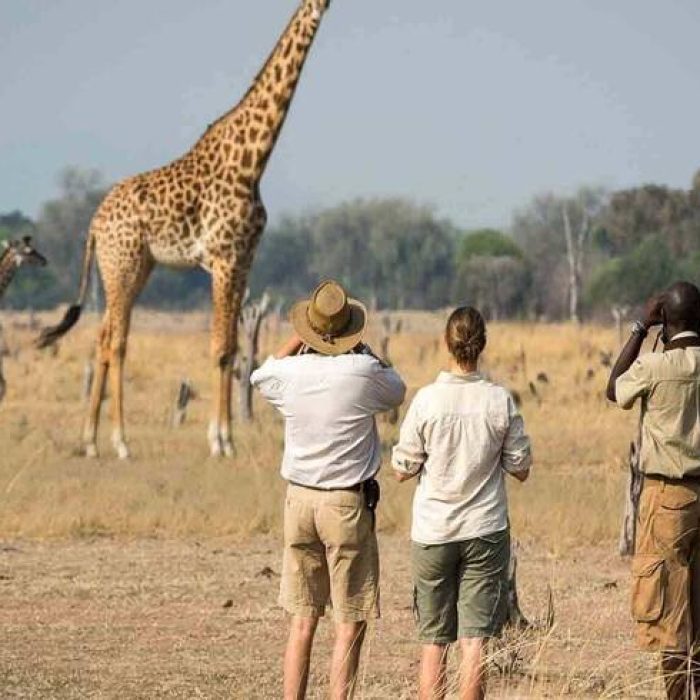 walking-safari-arusha